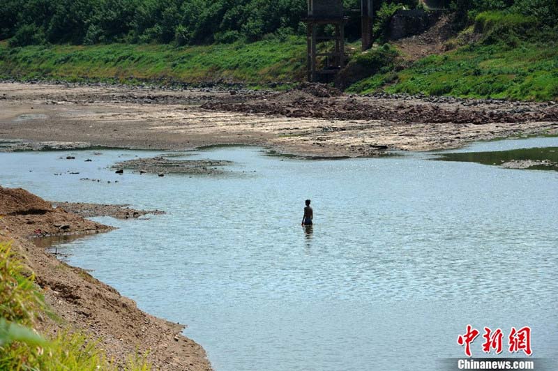 8月1日,湖南省湘潭縣河口鎮(zhèn)涓水河段的部分河床已干涸見(jiàn)底。據(jù)湘潭縣防辦介紹,截至7月30日,涓水已出現(xiàn)50年來(lái)最嚴(yán)重的斷流,全縣共計(jì)23萬(wàn)畝農(nóng)田受影響。中新社發(fā) 楊華峰 攝