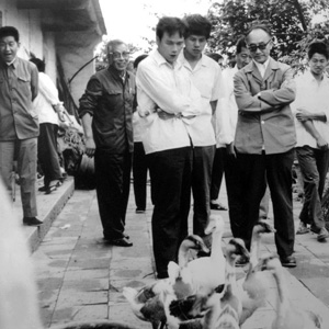 王岐山同志照片集            1982年5月，王岐山（左二）陪同中央農(nóng)研室領(lǐng)導(dǎo)在福建莆田調(diào)研，為起草中央一號(hào)文件做準(zhǔn)備。