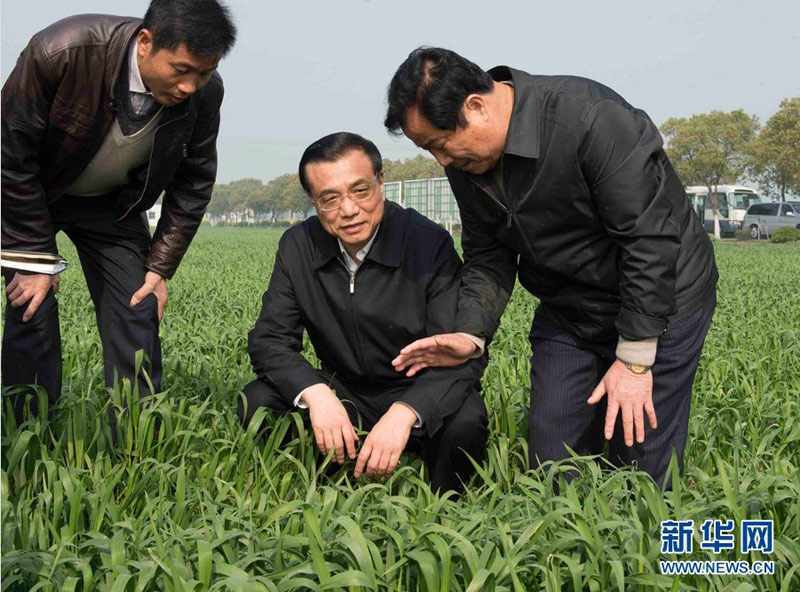 3月27日至29日，中共中央政治局常委、國務院總理李克強先后到江蘇、上海考察。這是3月28日，李克強在江蘇省常熟市田娘家庭農場察看麥苗長勢。新華社記者 李學仁 攝