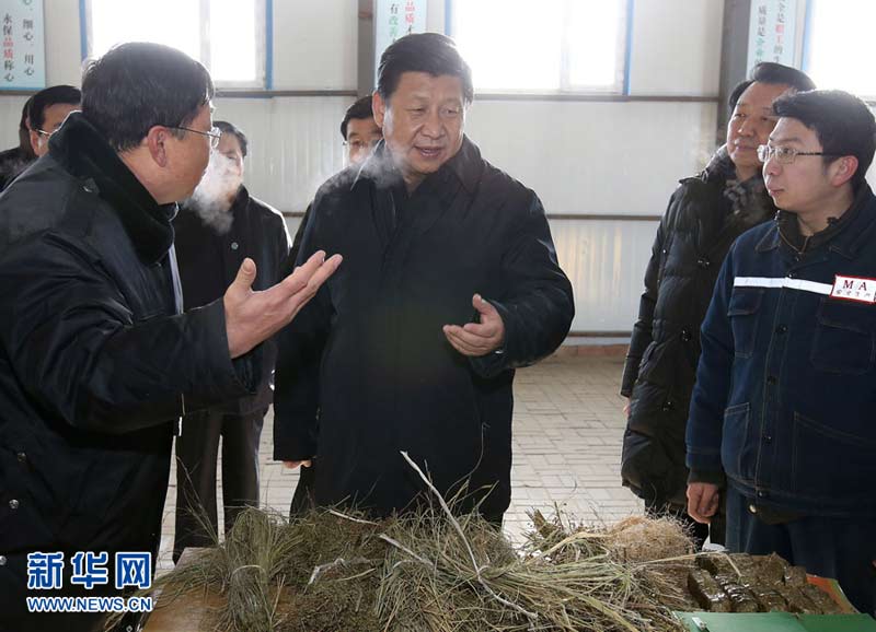 農歷馬年春節即將到來之際，中共中央總書記、國家主席、中央軍委主席習近平近日來到內蒙古，看望慰問各族干部群眾，向全國各族人民致以誠摯的新春祝福。這是1月27日，習近平在錫林郭勒盟毛登牧場飼草產業基地牧草顆粒加工車間，了解牧草深加工情況。新華社記者 龐興雷 攝