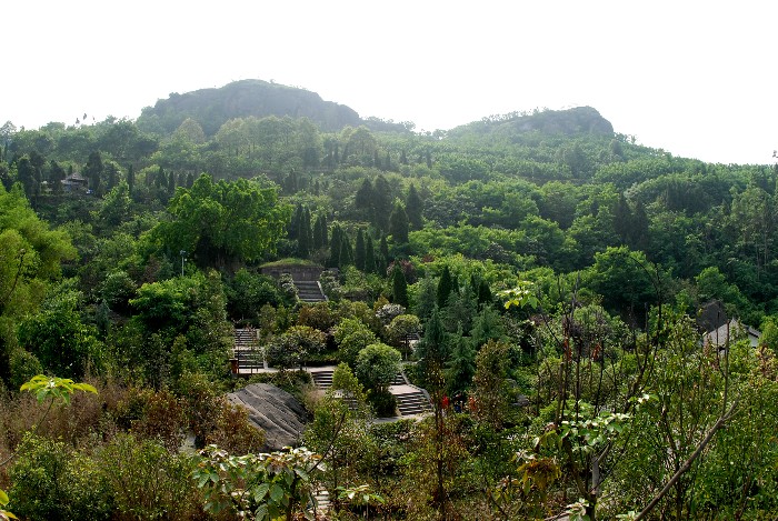 佛手山