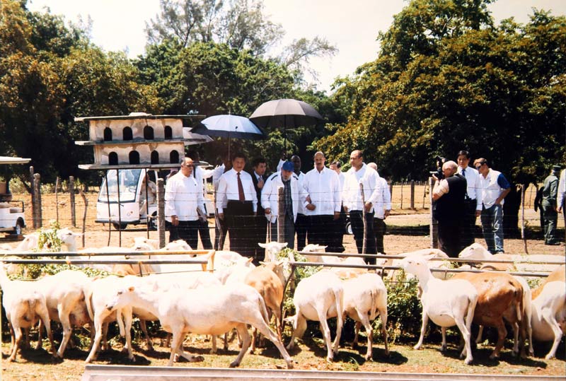 當(dāng)?shù)貢r間7月22日，國家主席習(xí)近平在哈瓦那親切探望古巴革命領(lǐng)袖菲德爾·卡斯特羅。 新華社發(fā)