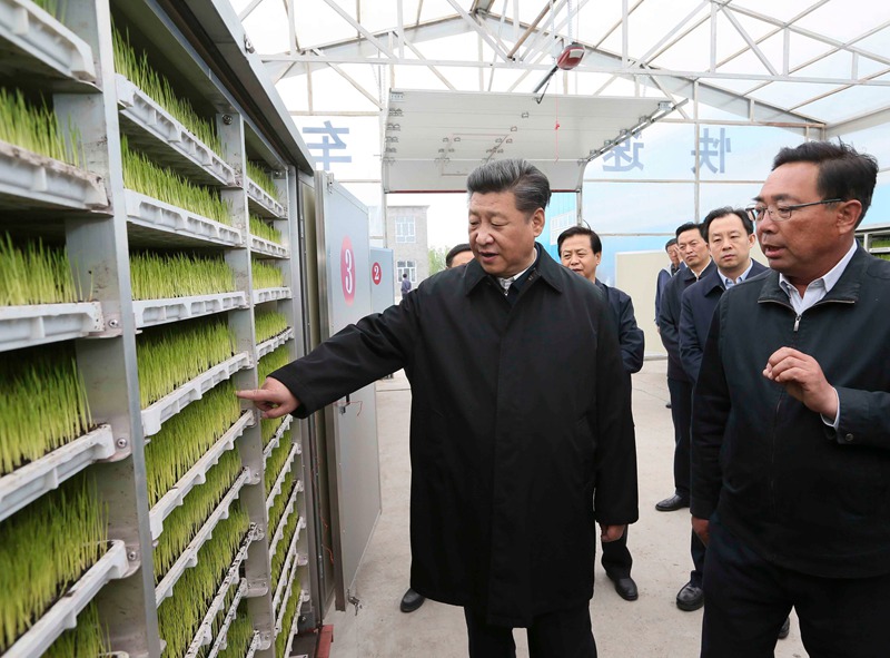 5月23日至25日，中共中央總書記、國家主席、中央軍委主席習(xí)近平在黑龍江考察調(diào)研。這是5月24日上午，習(xí)近平在撫遠(yuǎn)市玖成水稻種植合作社了解箱式快速育秧技術(shù)流程。 新華社記者 蘭紅光 攝