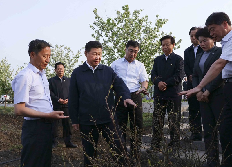5月23日至25日，中共中央總書記、國家主席、中央軍委主席習(xí)近平在黑龍江考察調(diào)研。這是5月23日下午，習(xí)近平在伊春友好林業(yè)局萬畝藍(lán)莓產(chǎn)業(yè)園察看藍(lán)莓種植情況。 新華社記者 蘭紅光 攝