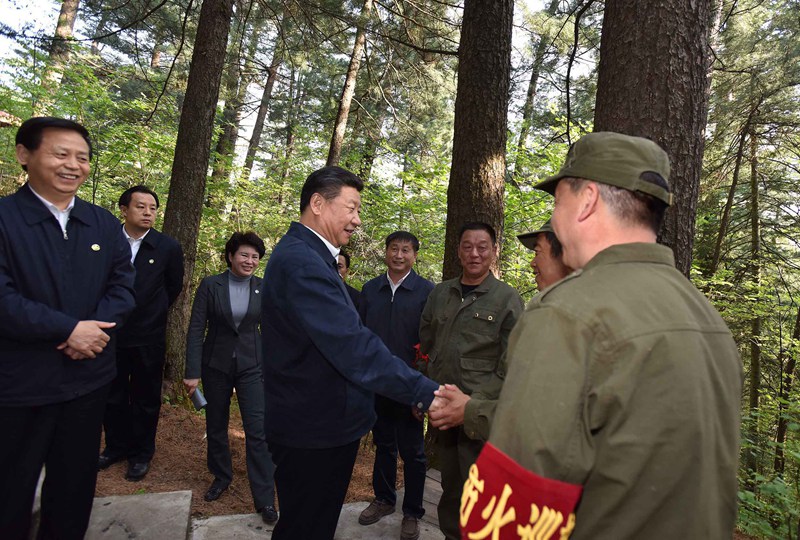 5月23日至25日，中共中央總書記、國家主席、中央軍委主席習近平在黑龍江考察調研。這是5月23日下午，習近平在上甘嶺林業局溪水國家森林公園視察時，叮囑林場工作人員一定要把森林資源保護好。 新華社記者 李濤 攝