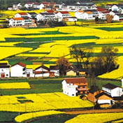全面小康　　全面建成小康社會(huì)，在“四個(gè)全面”戰(zhàn)略布局中居於引領(lǐng)地位。