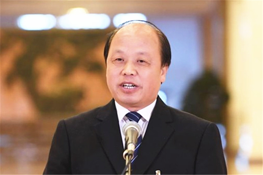 巨曉林代表接受採訪
