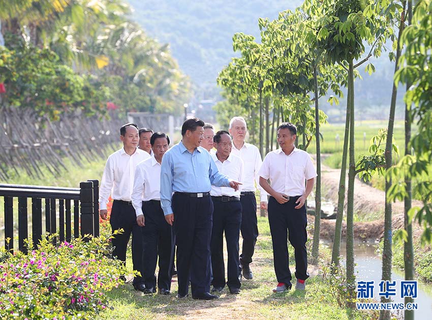 4月12日下午，中共中央總書記、國家主席、中央軍委主席習近平在海南省三亞市考察。這是習近平在國家南繁科研育種基地（海南）同袁隆平等農業技術專家一道，沿著田埂走進“超優千號”超級雜交水稻展示田，察看水稻長勢，了解超級雜交稻的產量、口感和推廣情況。新華社記者 謝環馳 攝