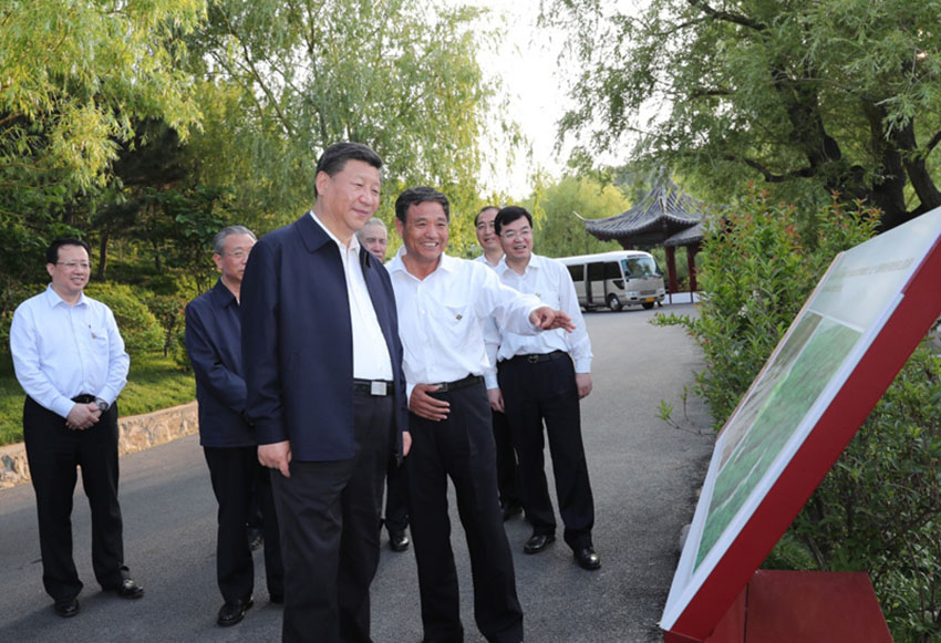 6月12日至14日，中共中央總書記、國家主席、中央軍委主席習近平在山東考察。這是12日下午，習近平在威?？疾烊A夏集團生態修復項目。新華社記者 謝環馳 攝