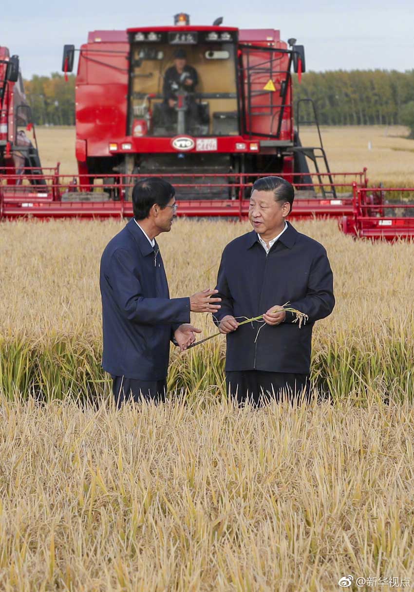 9月25日，中共中央總書記、國家主席、中央軍委主席習(xí)近平抵達(dá)黑龍江省開始考察。這是習(xí)近平在七星農(nóng)場萬畝大地號了解糧食生產(chǎn)和收獲情況。 新華社記者 謝環(huán)馳 攝