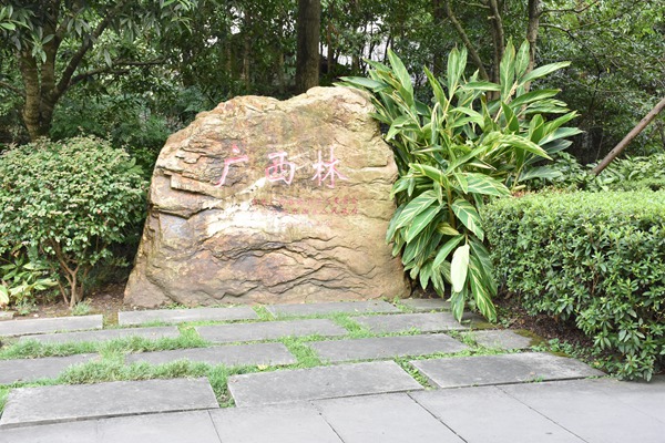 廣西林