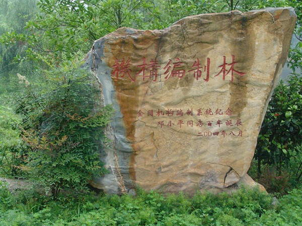機構編制林
