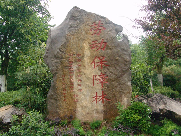 勞動保障林