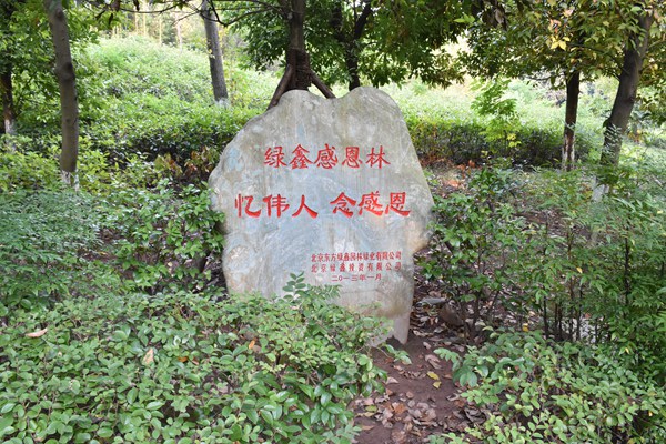 綠鑫感恩林