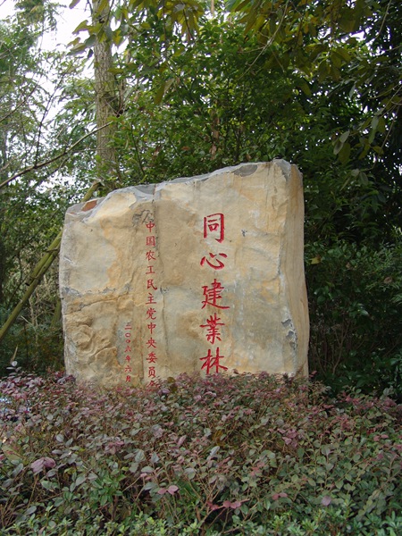 同心建業林