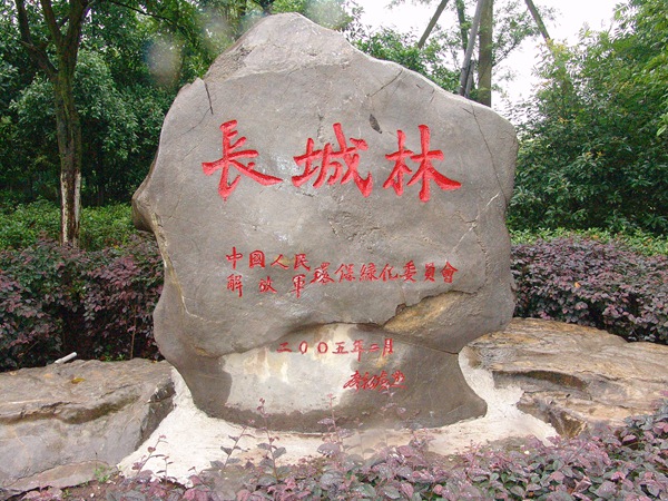 長城林