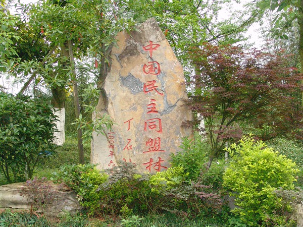 中國(guó)民主同盟林