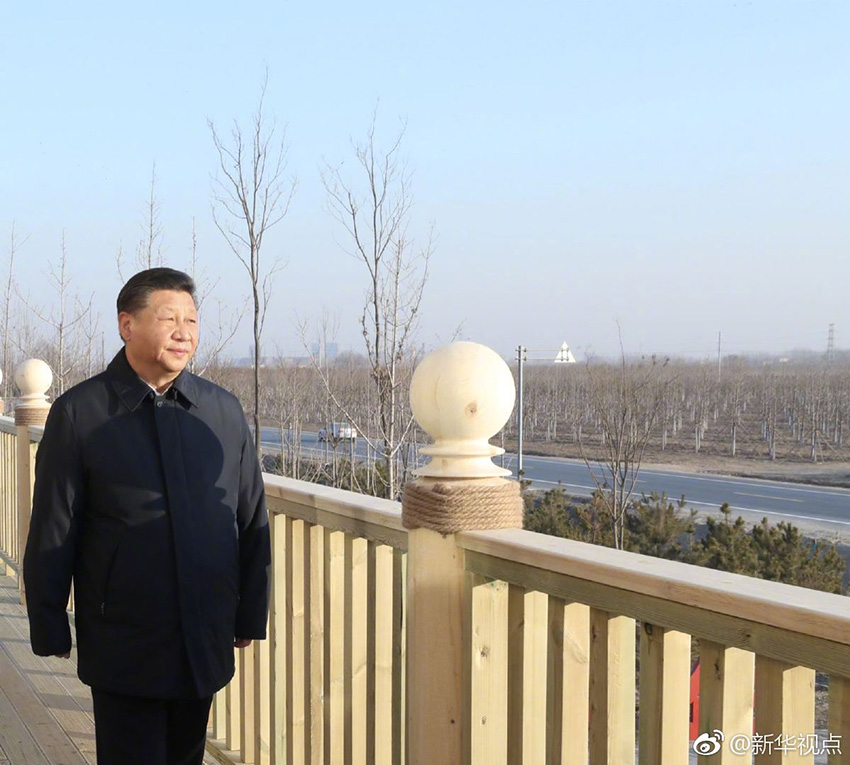 1月16日，中共中央總書記、國家主席、中央軍委主席習近平在河北雄安新區(qū)考察調(diào)研。在雄安新區(qū)“千年秀林”大清河片林一區(qū)造林區(qū)域，習近平登上秀林驛站二層平臺遠眺林區(qū)全貌。 新華社記者 鞠鵬 攝
