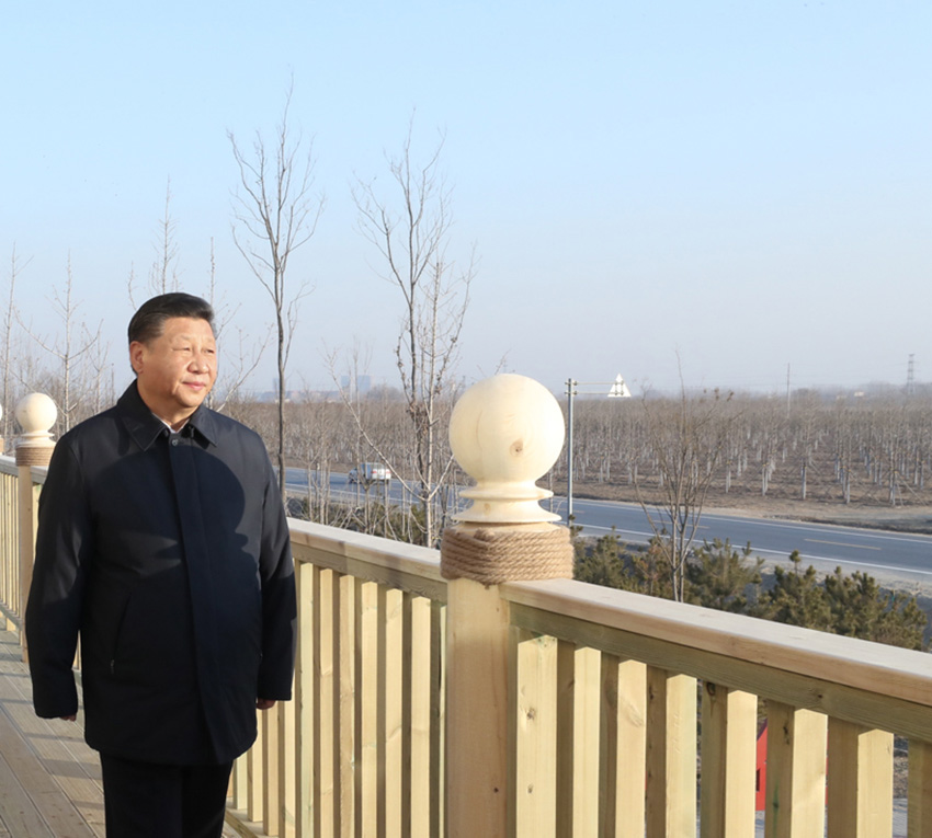 1月16日，中共中央總書記、國家主席、中央軍委主席習近平在河北雄安新區(qū)考察調(diào)研。在雄安新區(qū)“千年秀林”大清河片林一區(qū)造林區(qū)域，習近平登上秀林驛站二層平臺遠眺林區(qū)全貌。 新華社記者 鞠鵬 攝