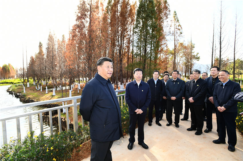 1月20日，正在雲南考察的中共中央總書記、國家主席、中央軍委主席習近平來到昆明，前往滇池星海半島生態濕地，察看滇池保護治理情況。新華社記者 謝環馳 攝