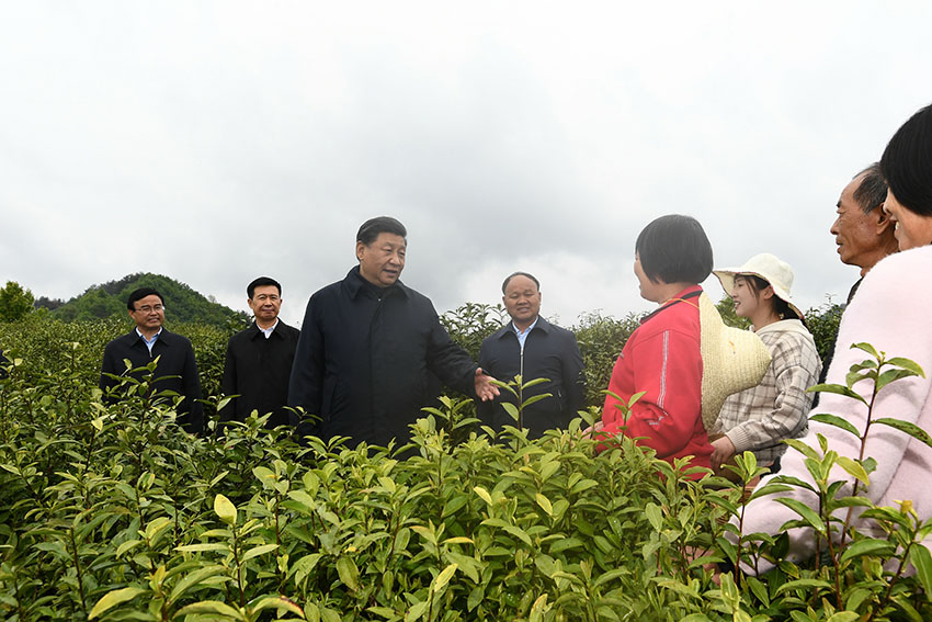 習近平總書記21日來到陝西省安康市平利縣老縣鎮，在錦屏社區、鎮衛生院、中心小學和茶園考察當地脫貧攻堅等情況。（文字記者：張曉鬆 攝影記者：鞠鵬、謝環馳、燕雁、翟健嵐）