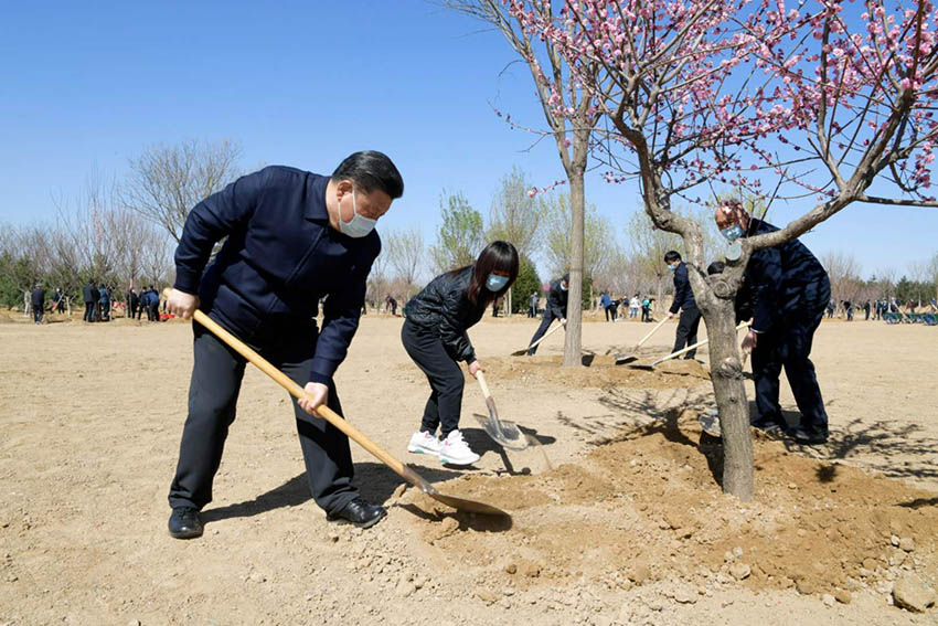 4月3日，黨和國家領(lǐng)導(dǎo)人習(xí)近平、李克強、栗戰(zhàn)書、汪洋、王滬寧、趙樂際、韓正、王岐山等來到北京市大興區(qū)舊宮鎮(zhèn)參加首都義務(wù)植樹活動。這是習(xí)近平同大家一起植樹。 新華社記者 李學(xué)仁 攝