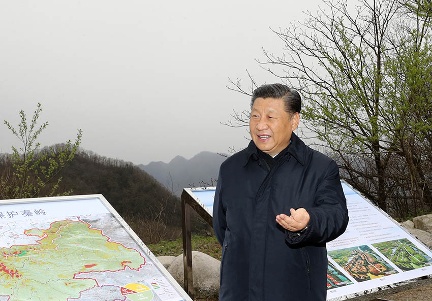 4月20日，中共中央總書記、國家主席、中央軍委主席習近平在陝西考察調研。這是習近平在位於商洛市柞水縣的秦嶺牛背梁國家級自然保護區，考察秦嶺生態保護情況。 新華社記者 鞠鵬 攝