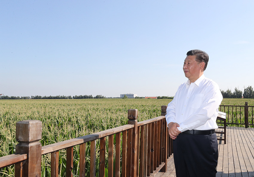 7月22日至24日，中共中央總書記、國家主席、中央軍委主席習(xí)近平在吉林省考察。這是7月22日下午，習(xí)近平考察四平市梨樹縣國家百萬畝綠色食品原料（玉米）標(biāo)準(zhǔn)化生產(chǎn)基地核心示范區(qū)地塊。 新華社記者 鞠鵬 攝