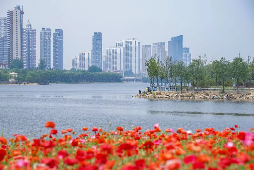繁花與碧波