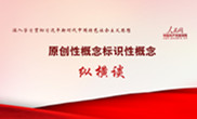 原創(chuàng)性概念標(biāo)識(shí)性概念縱橫談