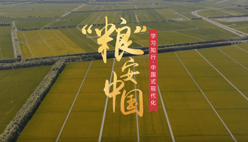 “糧”安中國糧食安全是“國之大者”，“持續增強糧食等重要農產品供給保障能力”，是今年中央一號文件部署的重點任務。新裝備新模式新技術正革新傳統農業，為現代化大農業注入全新活力。