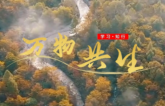微視頻：萬物共生