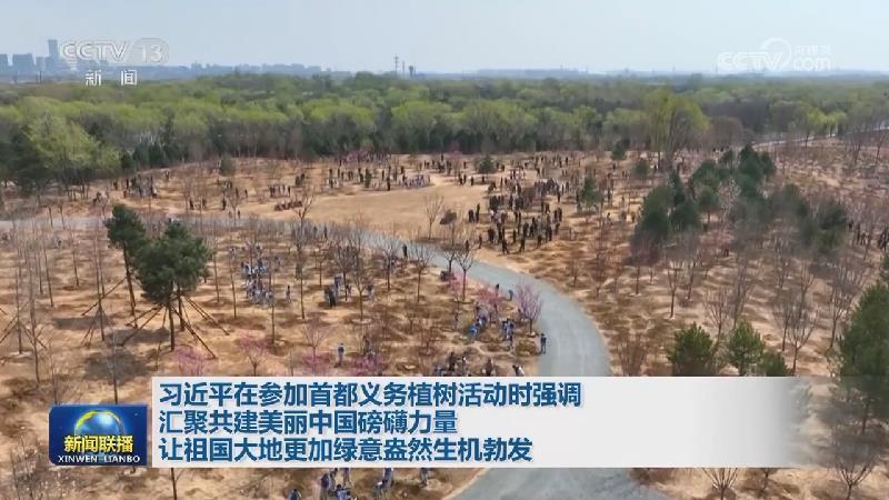 習(xí)近平在參加首都義務(wù)植樹活動時(shí)強(qiáng)調(diào) 匯聚共建美麗中國磅礡力量 讓祖國大地更加綠意盎然生機(jī)勃發(fā)